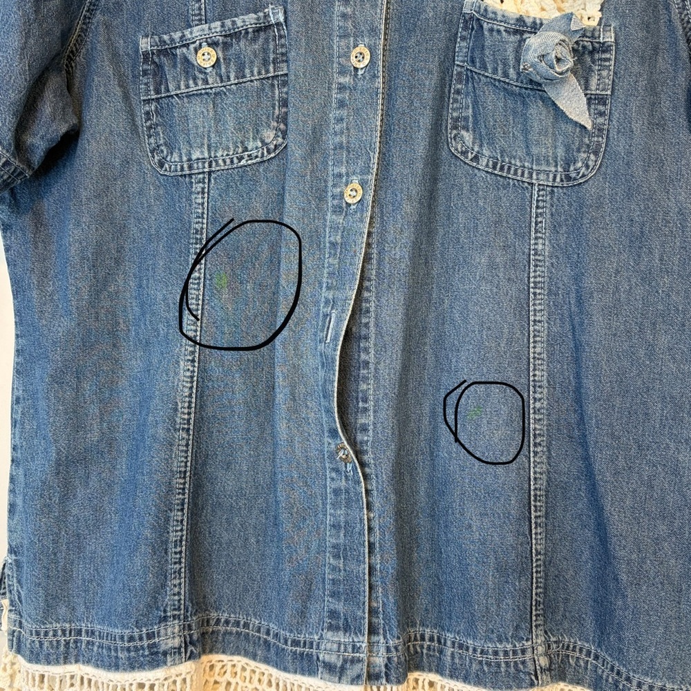 Erika Denim Button Down Shirt with Lace Trim - Picture 4 of 6